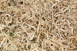 thin-wood-chips